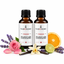 Premium Mum Esansı 5 cc 2'li Set Soya Wax, Parafin, Jel Wax ve Bal Mumu Uyumlu